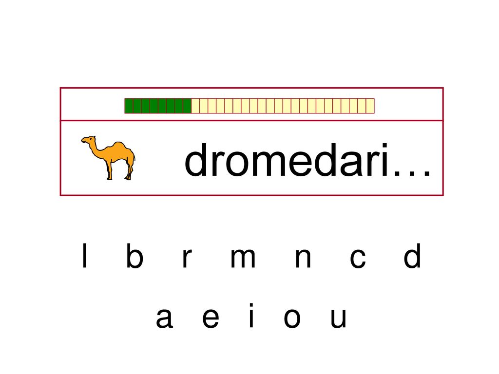 dromedari… l b r m n c d a e i o u