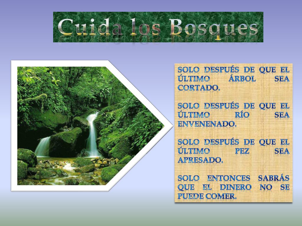 Cuida los Bosques Solo después de que el último árbol sea cortado.