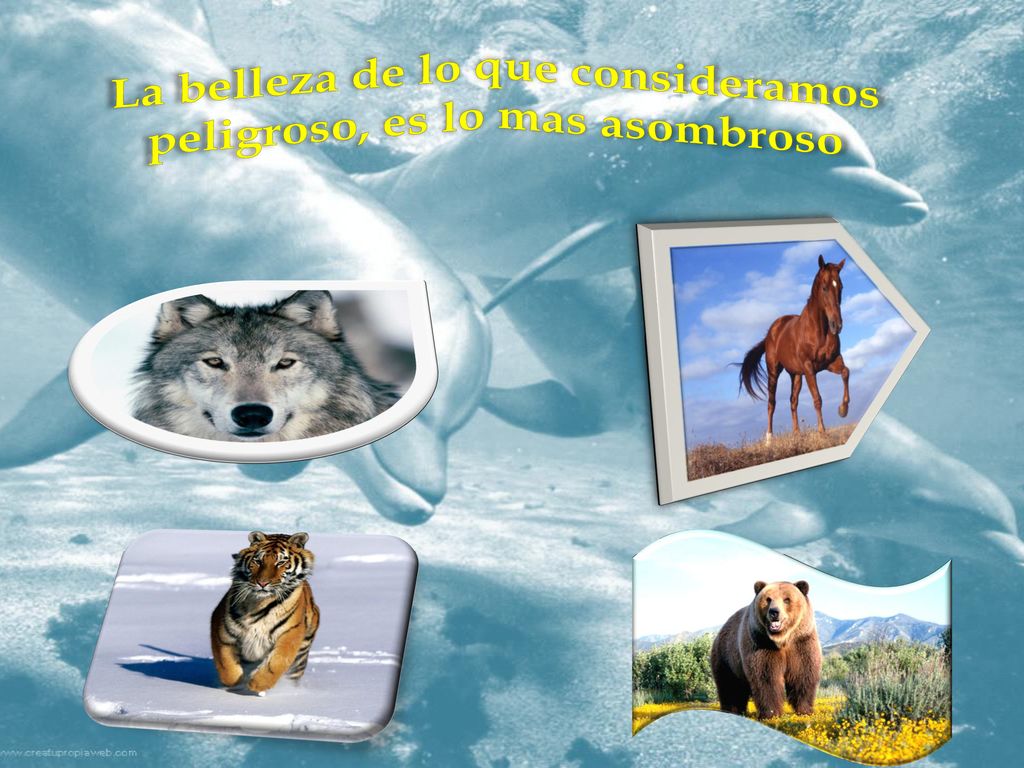 La belleza de lo que consideramos peligroso, es lo mas asombroso