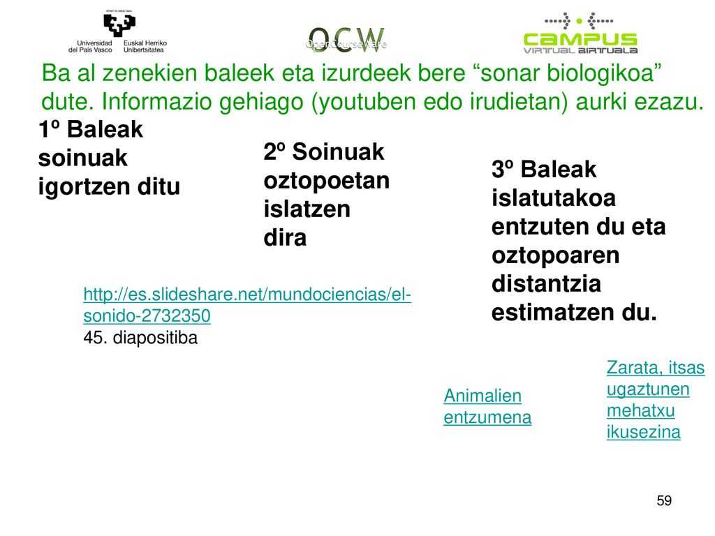 1º Baleak soinuak igortzen ditu 2º Soinuak oztopoetan islatzen dira