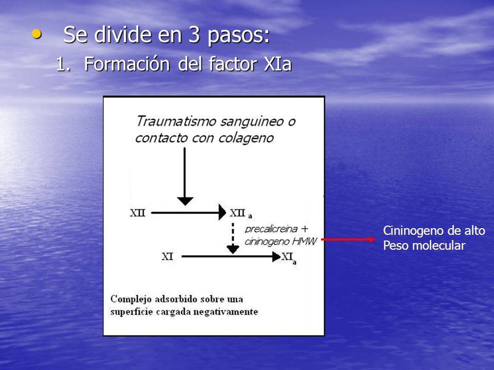 Se divide en 3 pasos: Formación del factor XIa Cininogeno de alto