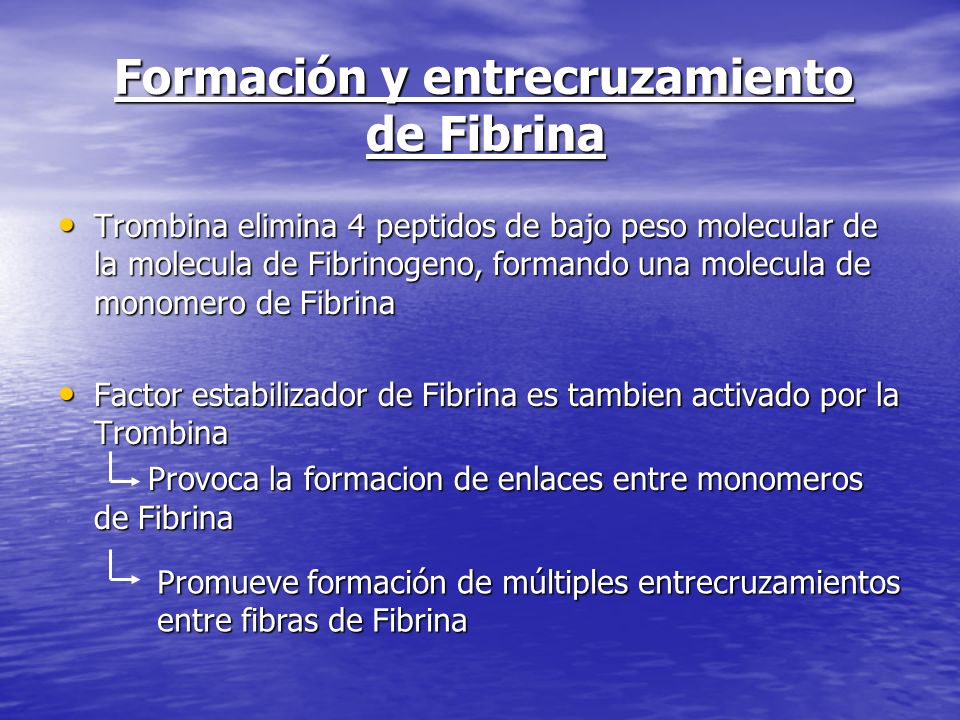 Formación y entrecruzamiento de Fibrina