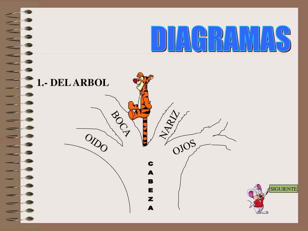 DIAGRAMAS 1.- DEL ARBOL CABEZA OJOS NARIZ BOCA OIDO SIGUIENTE