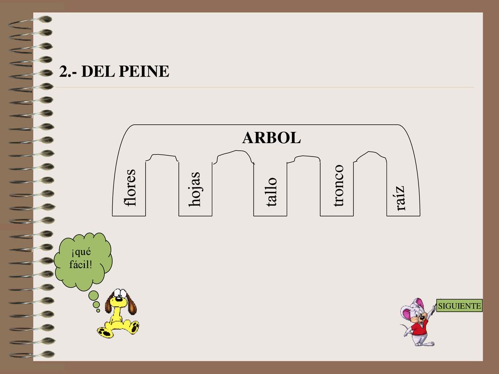 2.- DEL PEINE ARBOL tronco flores hojas tallo raíz ¡qué fácil!