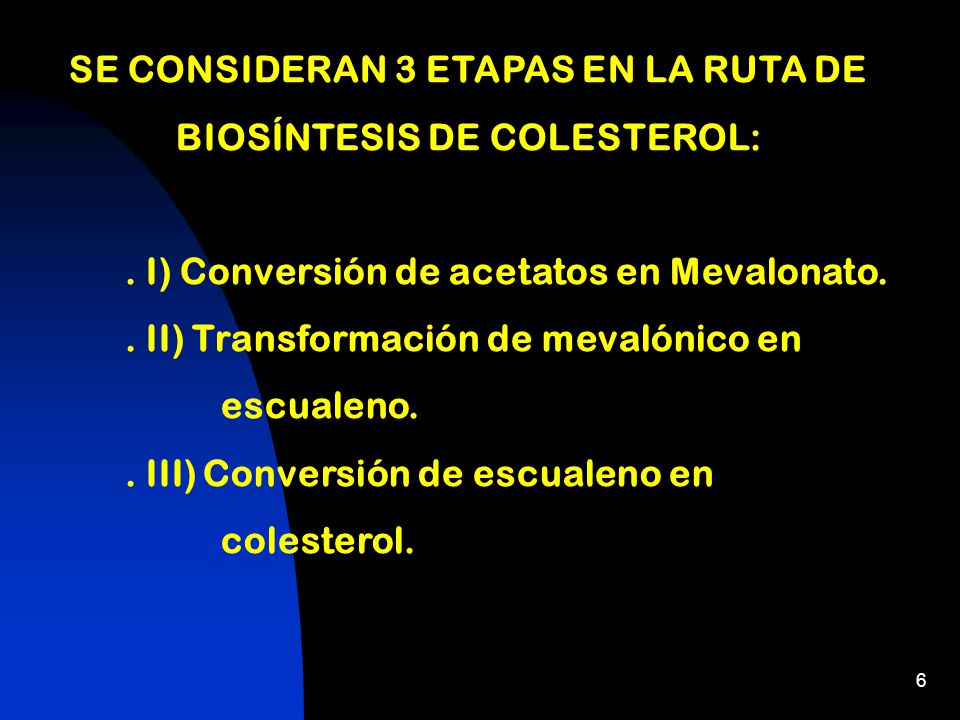 SE CONSIDERAN 3 ETAPAS EN LA RUTA DE BIOSÍNTESIS DE COLESTEROL: