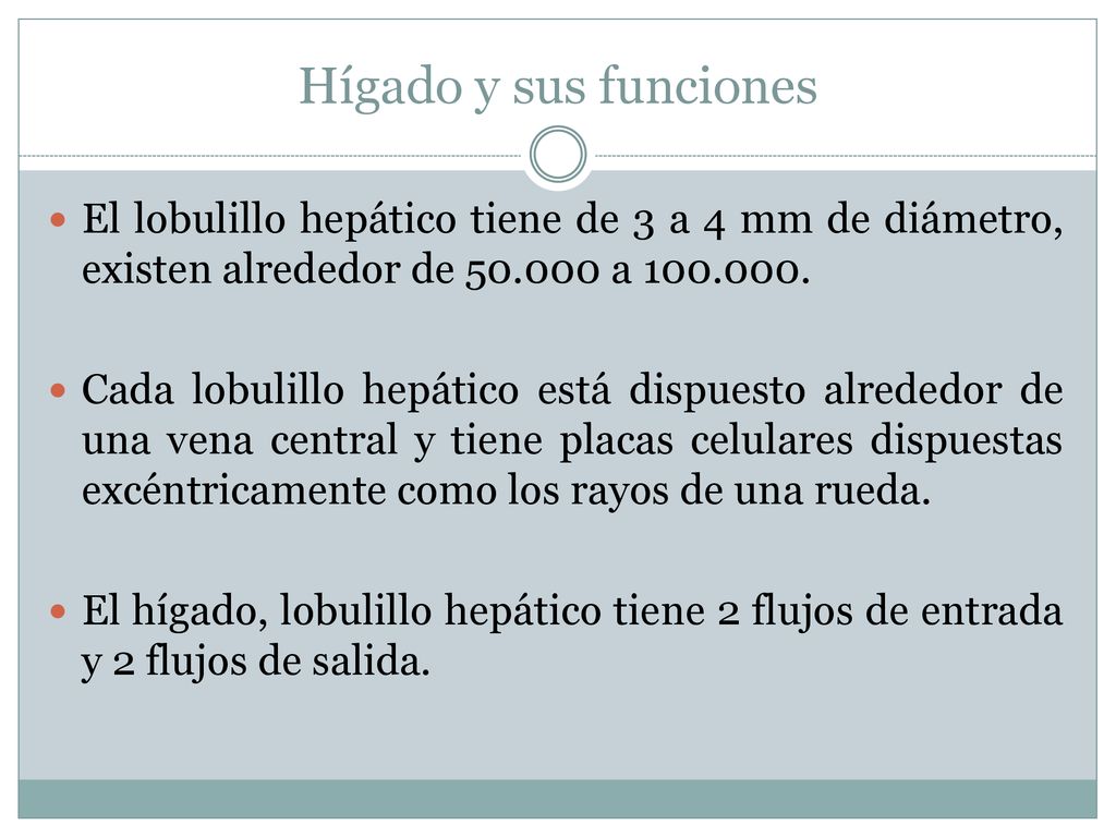 Hígado y sus funciones El lobulillo hepático tiene de 3 a 4 mm de diámetro, existen alrededor de a