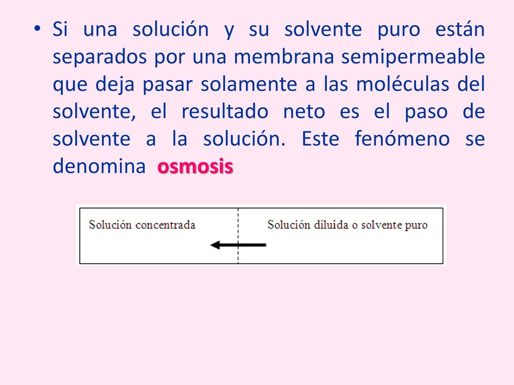 Si una solución y su solvente puro están separados por una membrana semipermeable que deja pasar solamente a las moléculas del solvente, el resultado neto es el paso de solvente a la solución.