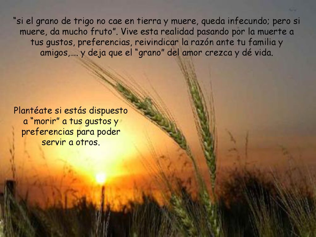 si el grano de trigo no cae en tierra y muere, queda infecundo; pero si muere, da mucho fruto . Vive esta realidad pasando por la muerte a tus gustos, preferencias, reivindicar la razón ante tu familia y amigos,…. y deja que el grano del amor crezca y dé vida.