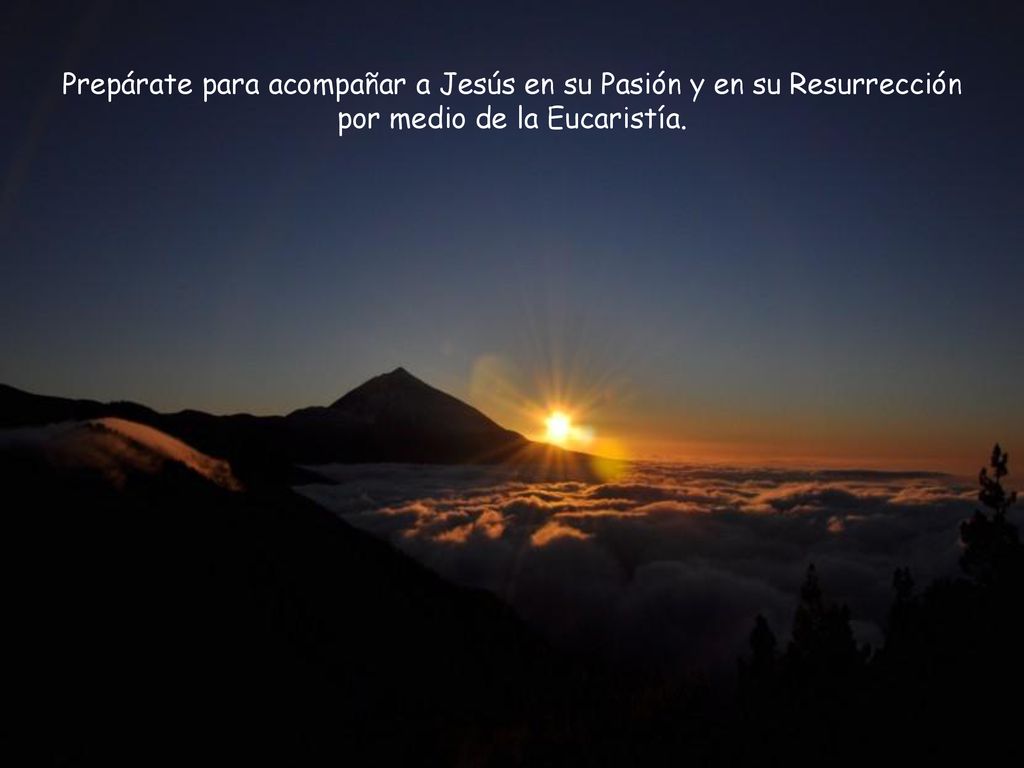 Prepárate para acompañar a Jesús en su Pasión y en su Resurrección por medio de la Eucaristía.