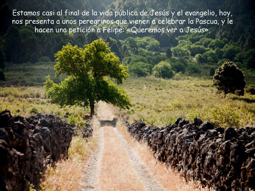 Estamos casi al final de la vida pública de Jesús y el evangelio, hoy, nos presenta a unos peregrinos que vienen a celebrar la Pascua, y le hacen una petición a Felipe: «Queremos ver a Jesús».