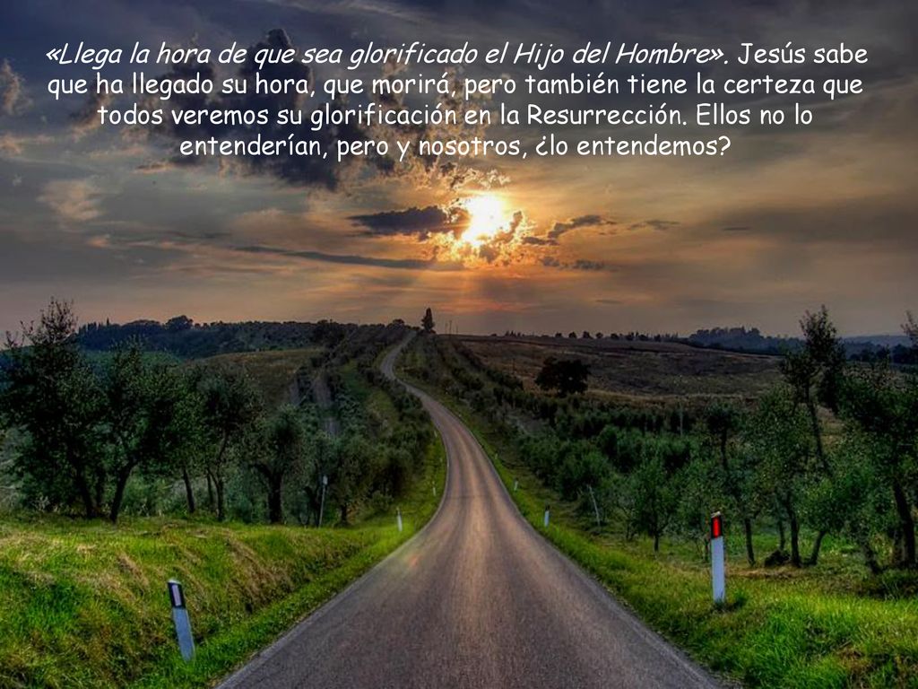 «Llega la hora de que sea glorificado el Hijo del Hombre»
