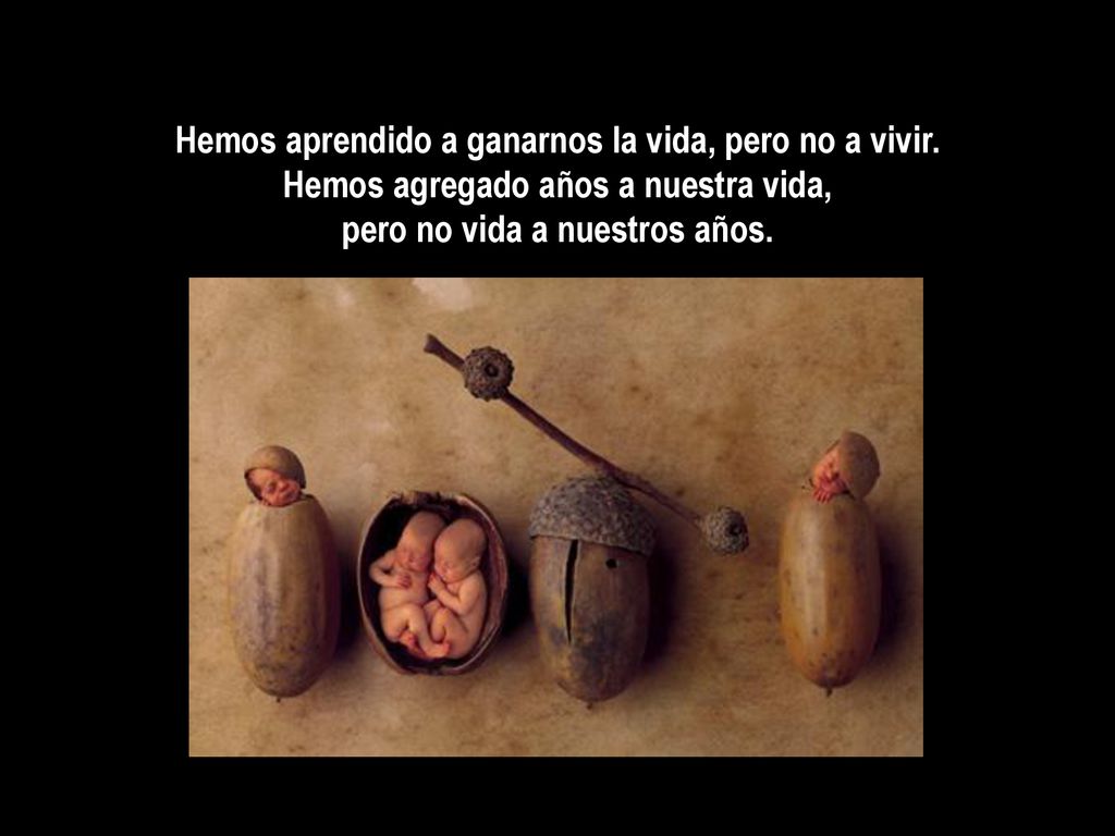 Hemos aprendido a ganarnos la vida, pero no a vivir.