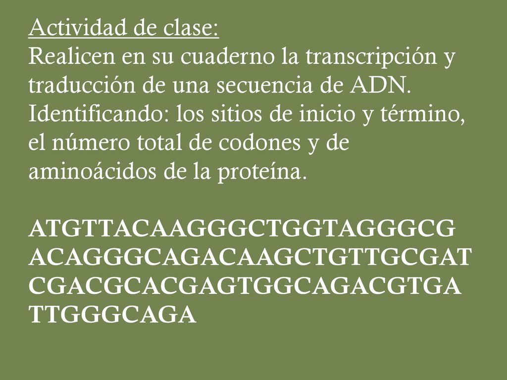 Actividad de clase: Realicen en su cuaderno la transcripción y traducción de una secuencia de ADN.