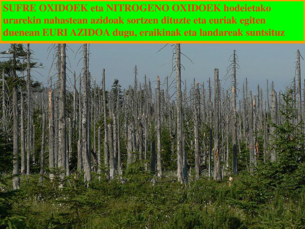 SUFRE OXIDOEK eta NITROGENO OXIDOEK hodeietako urarekin nahastean azidoak sortzen dituzte eta euriak egiten duenean EURI AZIDOA dugu, eraikinak eta landareak suntsituz