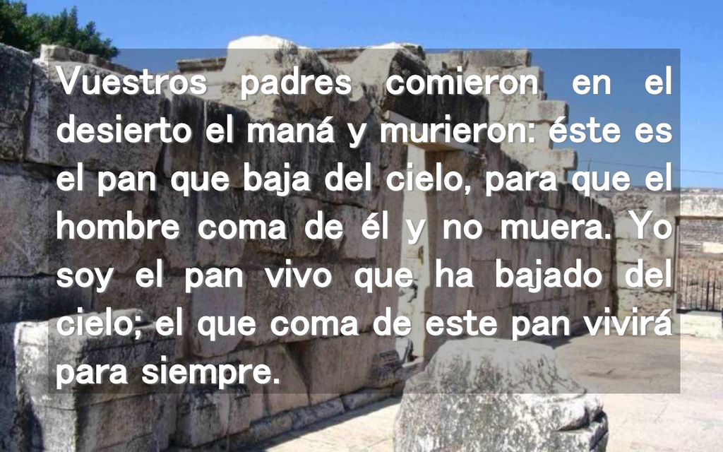 Vuestros padres comieron en el desierto el maná y murieron: éste es el pan que baja del cielo, para que el hombre coma de él y no muera.
