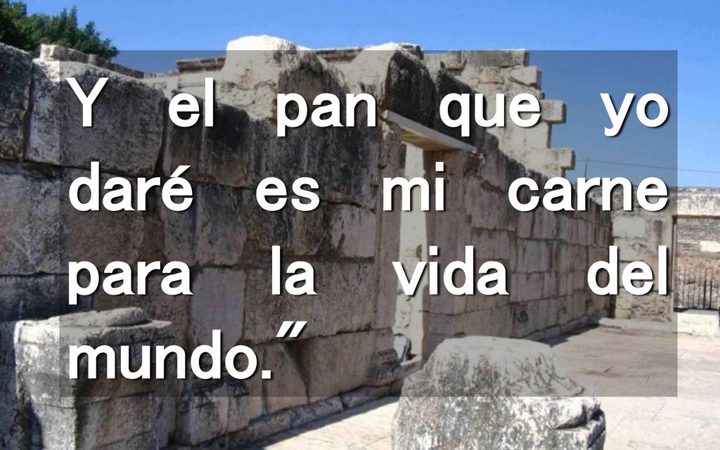 Y el pan que yo daré es mi carne para la vida del mundo.
