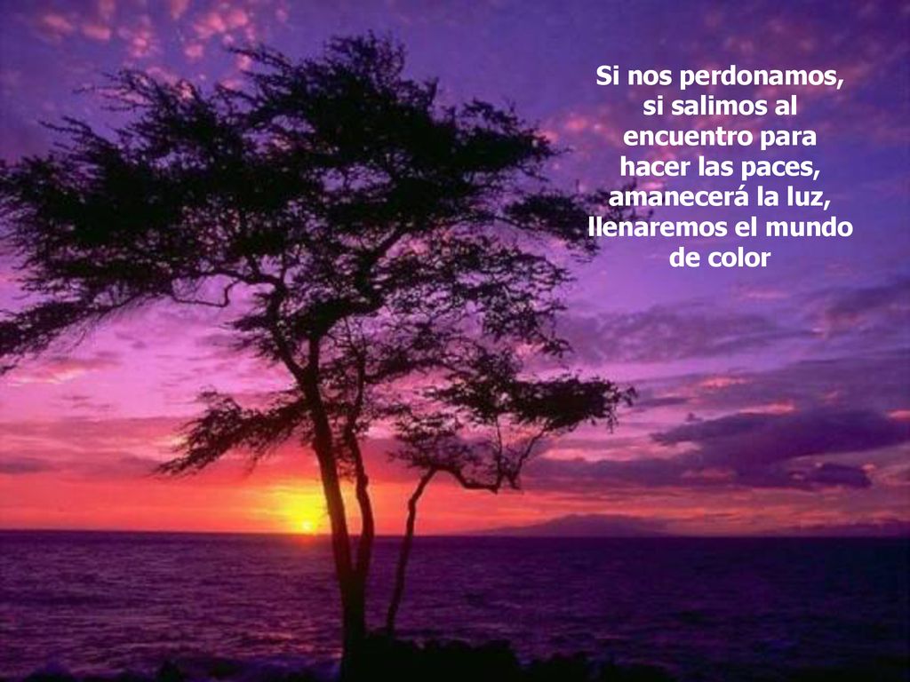 Si nos perdonamos, si salimos al encuentro para hacer las paces, amanecerá la luz, llenaremos el mundo de color