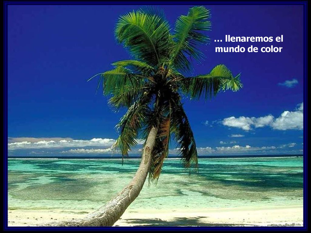 … llenaremos el mundo de color