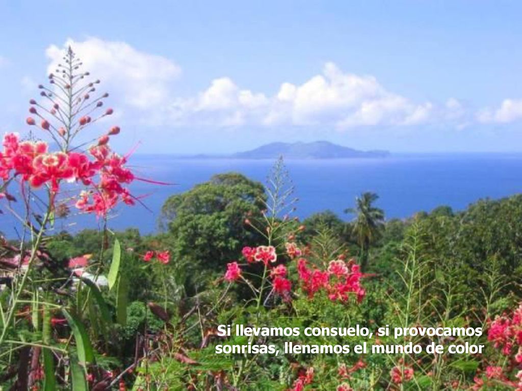 Si llevamos consuelo, si provocamos sonrisas, llenamos el mundo de color