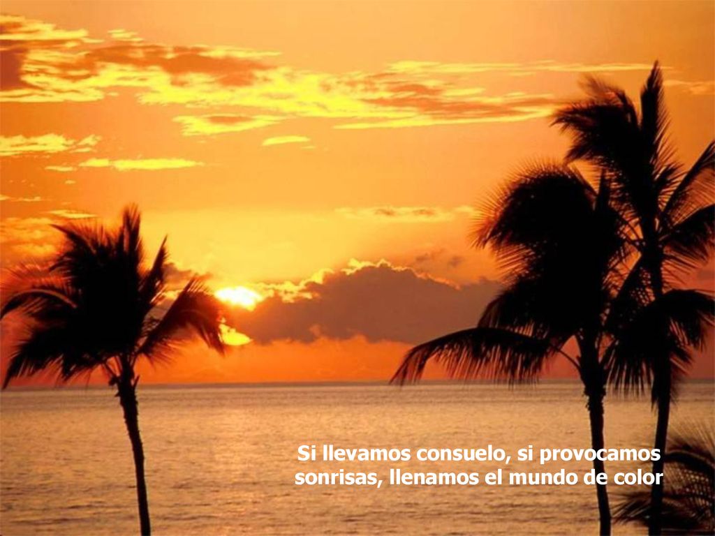 Si llevamos consuelo, si provocamos sonrisas, llenamos el mundo de color