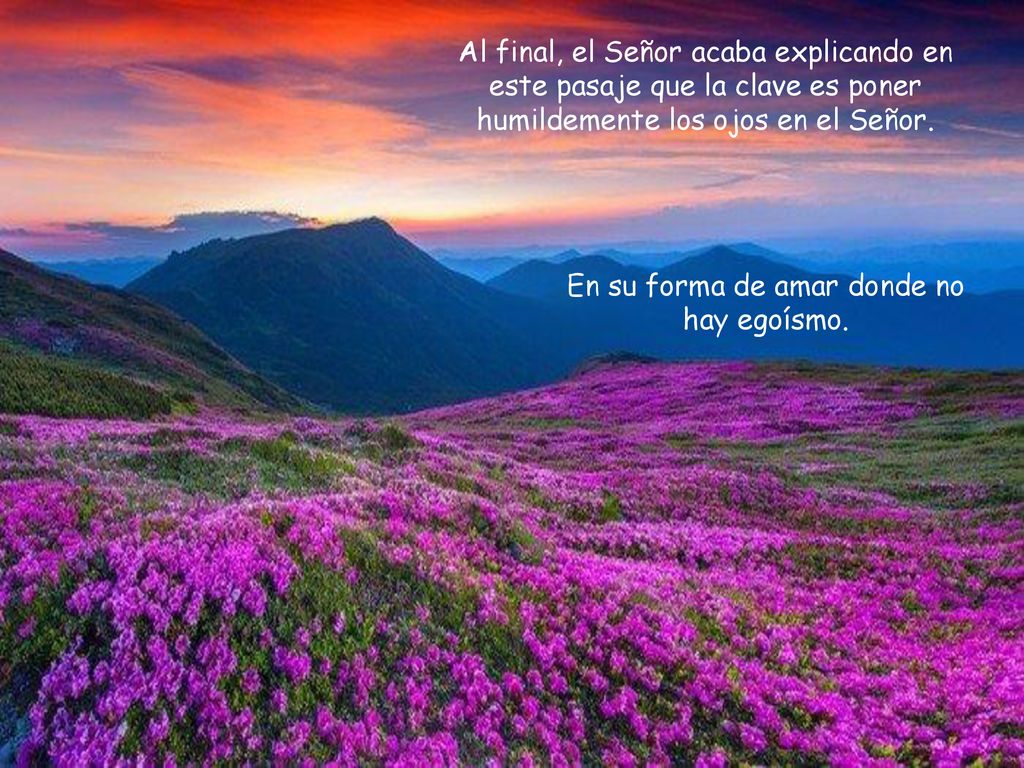 En su forma de amar donde no hay egoísmo.