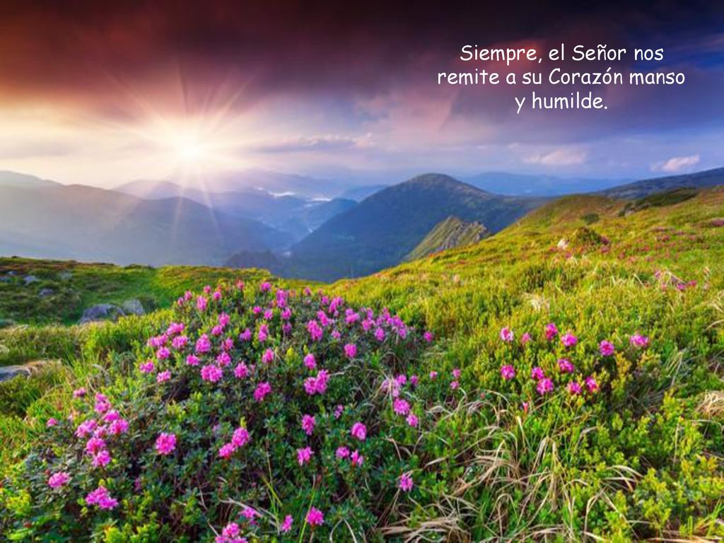Siempre, el Señor nos remite a su Corazón manso y humilde.