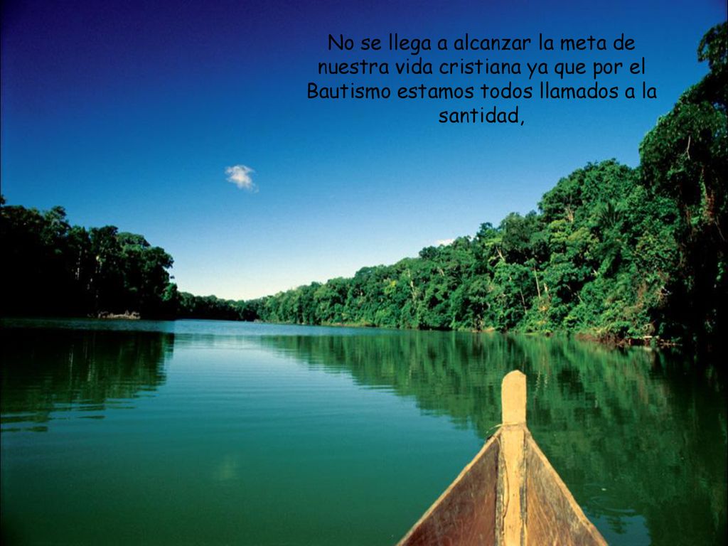 No se llega a alcanzar la meta de nuestra vida cristiana ya que por el Bautismo estamos todos llamados a la santidad,
