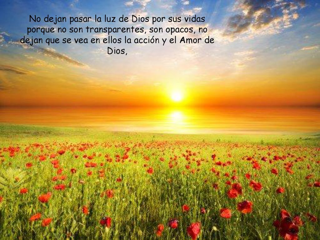 No dejan pasar la luz de Dios por sus vidas porque no son transparentes, son opacos, no dejan que se vea en ellos la acción y el Amor de Dios,