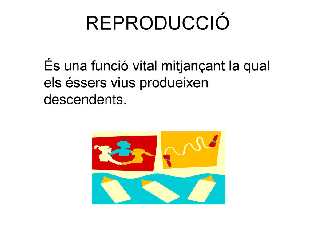 REPRODUCCIÓ És una funció vital mitjançant la qual els éssers vius produeixen descendents.