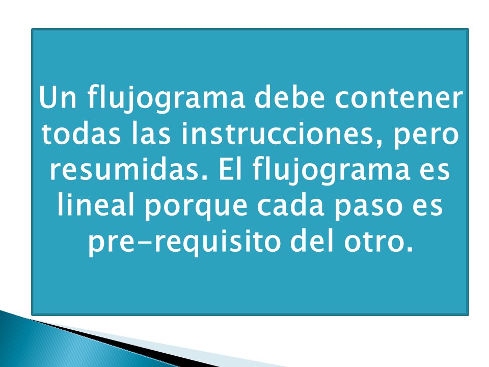 Un flujograma debe contener todas las instrucciones, pero resumidas