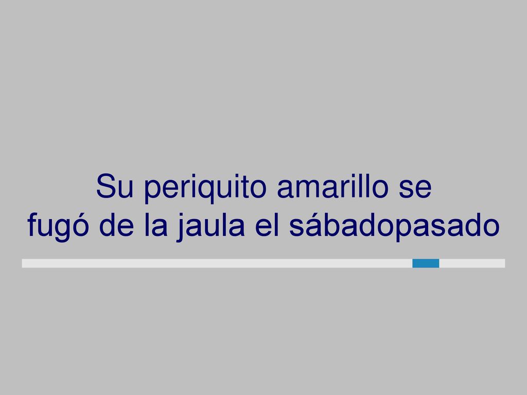Su periquito amarillo se fugó de la jaula el sábadopasado