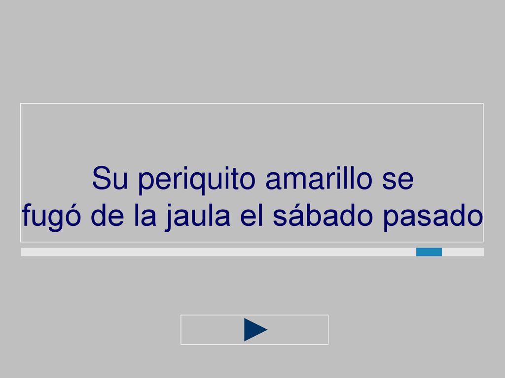 Su periquito amarillo se fugó de la jaula el sábado pasado