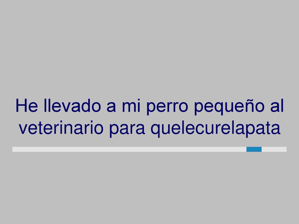He llevado a mi perro pequeño al veterinario para quelecurelapata
