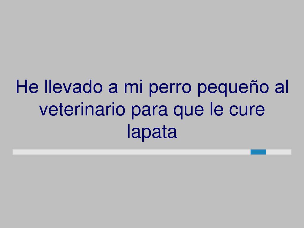 He llevado a mi perro pequeño al veterinario para que le cure