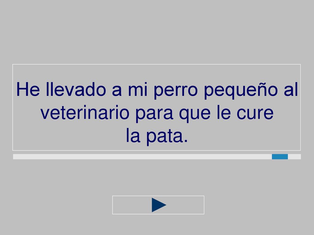 He llevado a mi perro pequeño al veterinario para que le cure