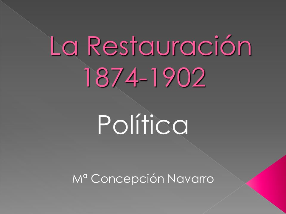 Política Mª Concepción Navarro