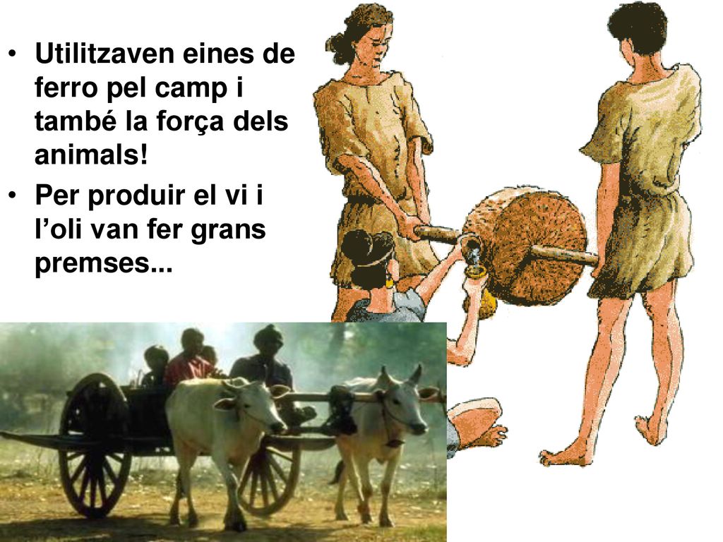 Utilitzaven eines de ferro pel camp i també la força dels animals!