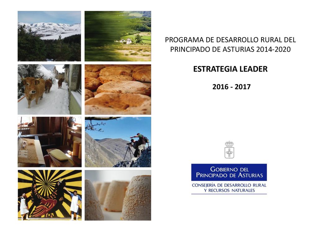 PROGRAMA DE DESARROLLO RURAL DEL PRINCIPADO DE ASTURIAS ESTRATEGIA LEADER
