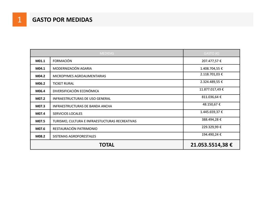1 GASTO POR MEDIDAS TOTAL ,38 € MEDIDAS GASTO (€) M01.1