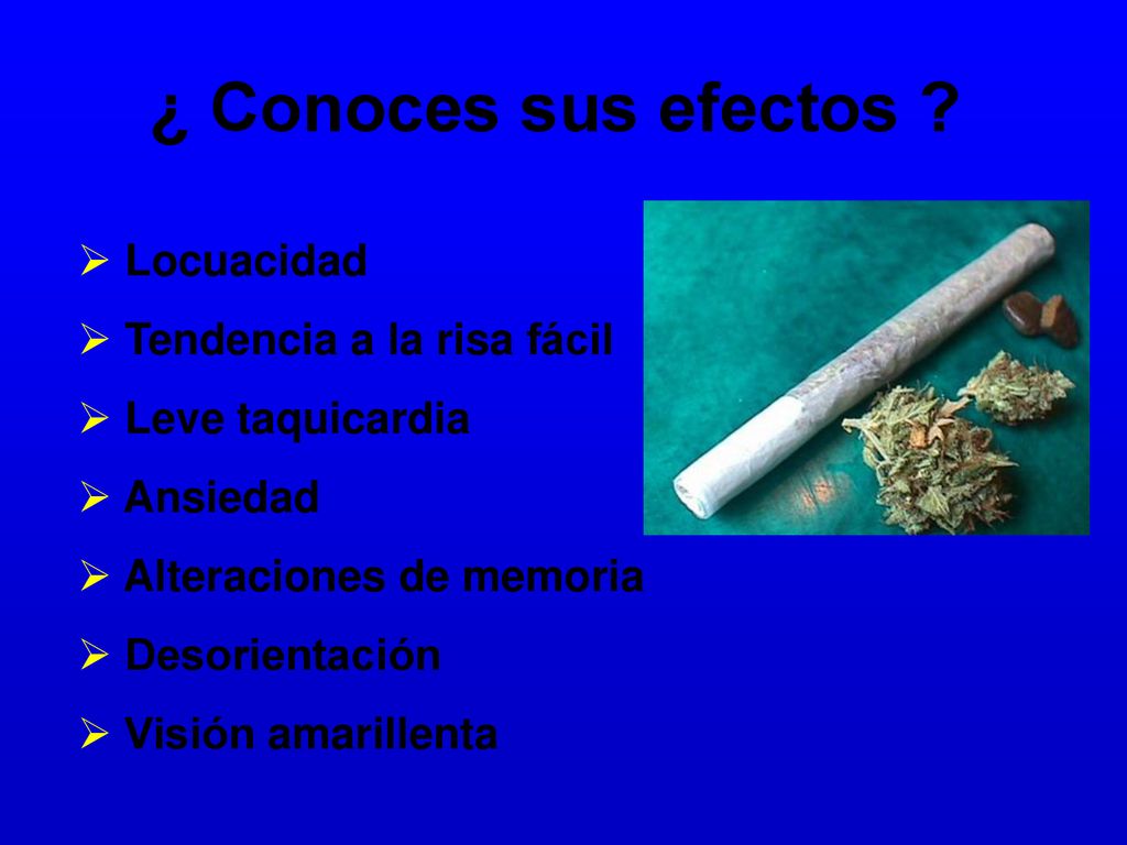 ¿ Conoces sus efectos Locuacidad Tendencia a la risa fácil