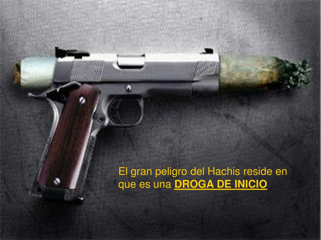 El gran peligro del Hachis reside en que es una DROGA DE INICIO