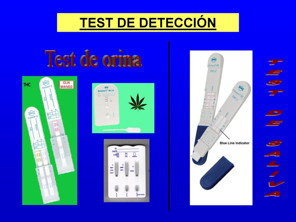 TEST DE DETECCIÓN Test de orina TEST DE SALIVA