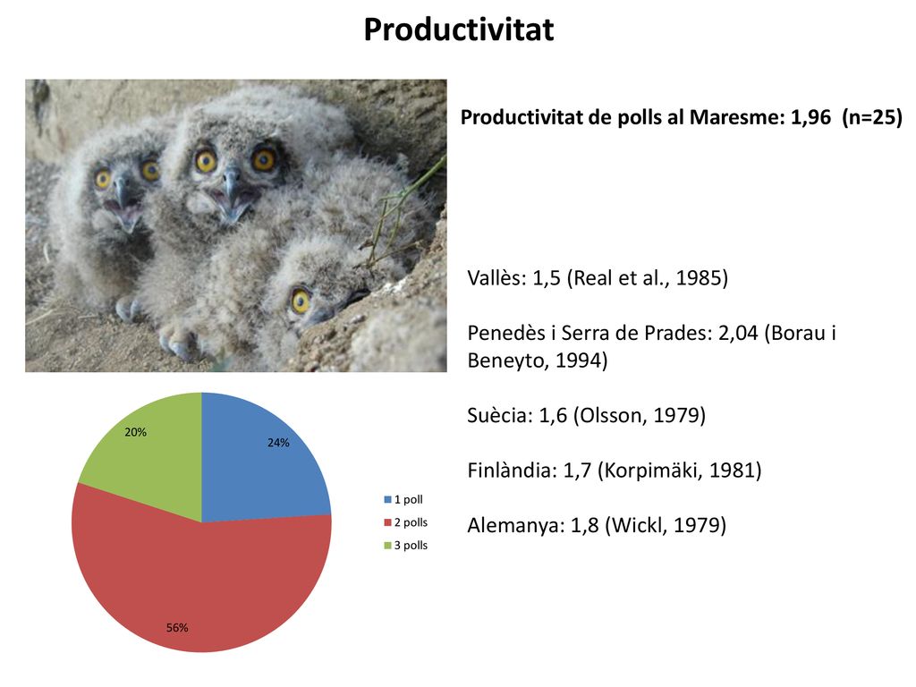 Productivitat Productivitat de polls al Maresme: 1,96 (n=25)