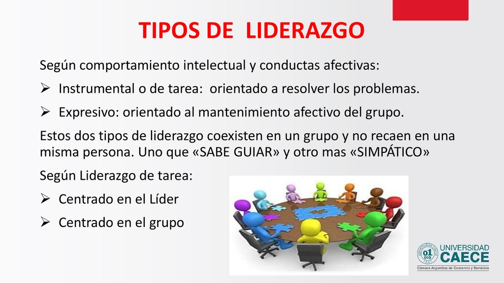 TIPOS DE LIDERAZGO Según comportamiento intelectual y conductas afectivas: Instrumental o de tarea: orientado a resolver los problemas.