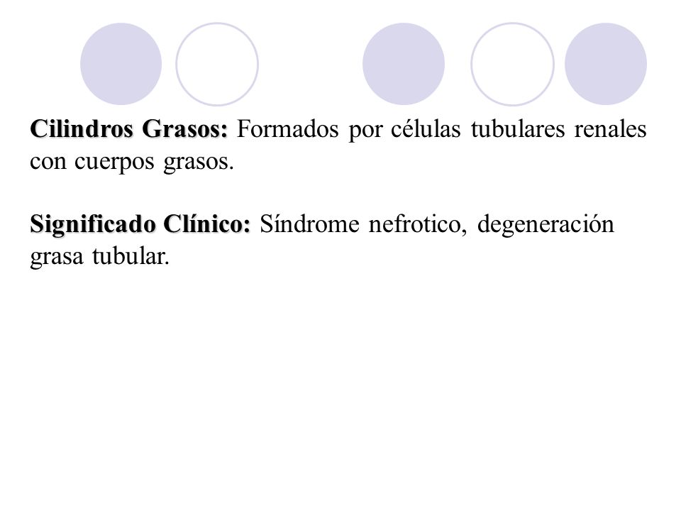 Cilindros Grasos: Formados por células tubulares renales con cuerpos grasos.