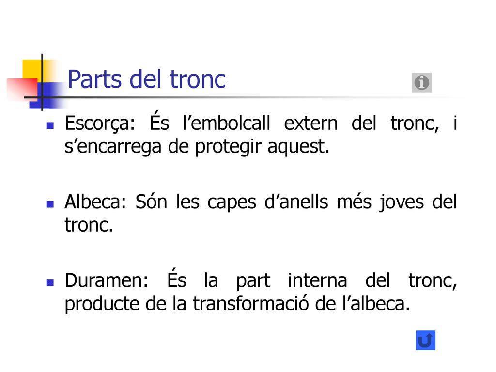 Parts del tronc Escorça: És l’embolcall extern del tronc, i s’encarrega de protegir aquest. Albeca: Són les capes d’anells més joves del tronc.