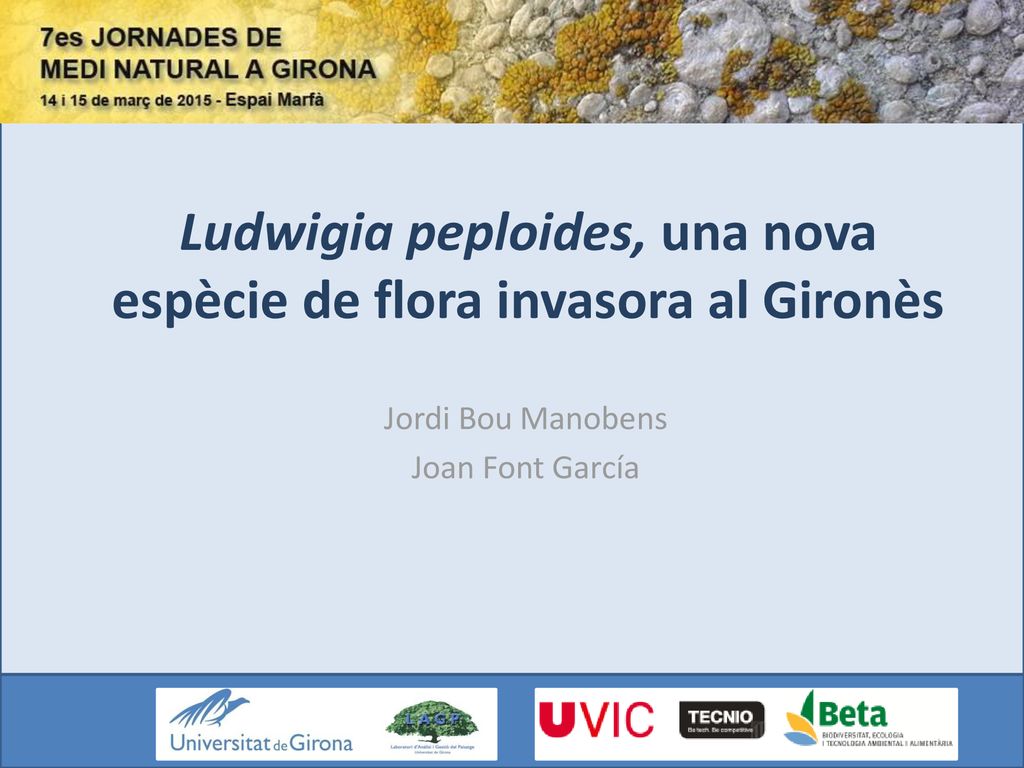 Ludwigia peploides, una nova espècie de flora invasora al Gironès