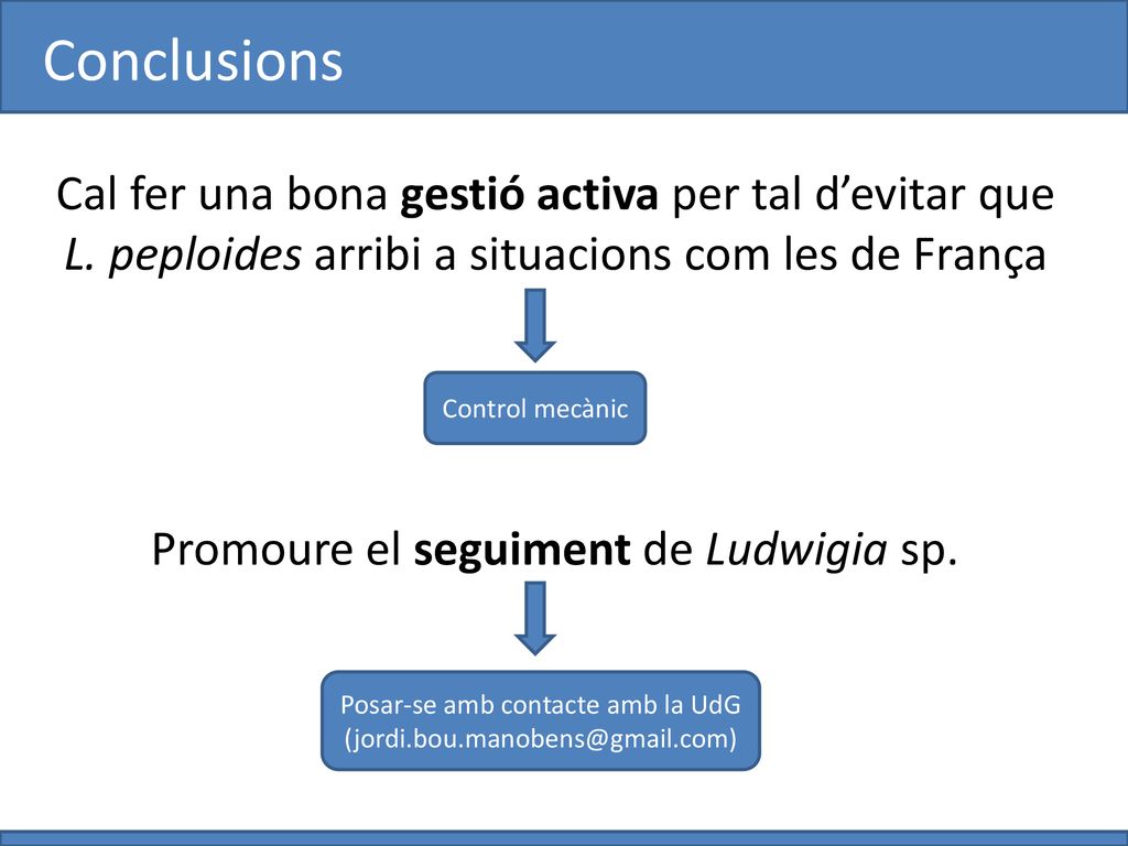 Conclusions Cal fer una bona gestió activa per tal d’evitar que L. peploides arribi a situacions com les de França.
