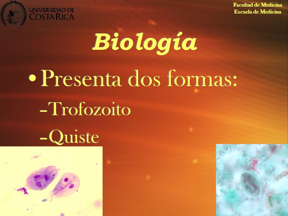Biología Presenta dos formas: Trofozoito Quiste Facultad de Medicina
