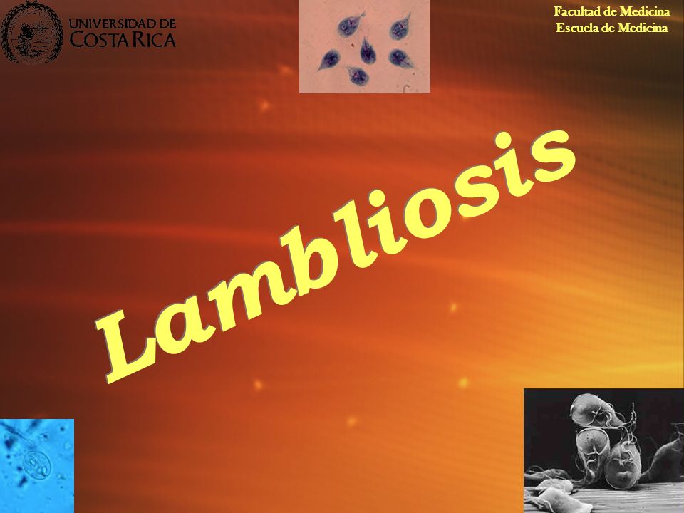 Facultad de Medicina Escuela de Medicina Lambliosis